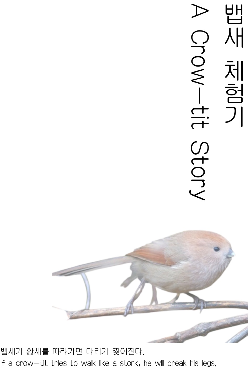 대체